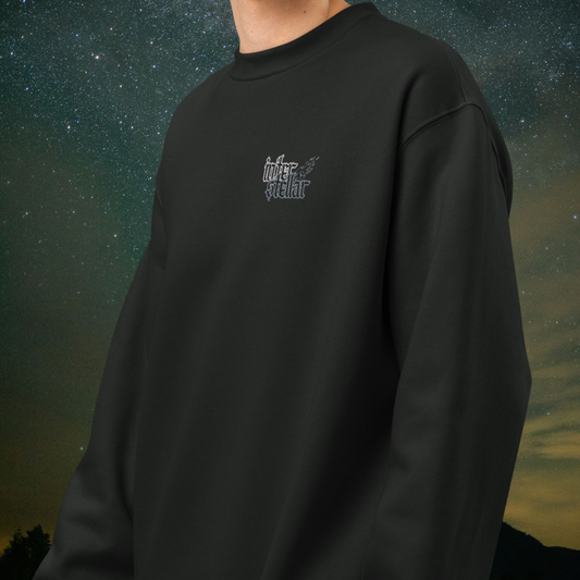 Person wearing a black Stellarwear sweatshirt with an "Interstellar" comet logo against a starry night sky background