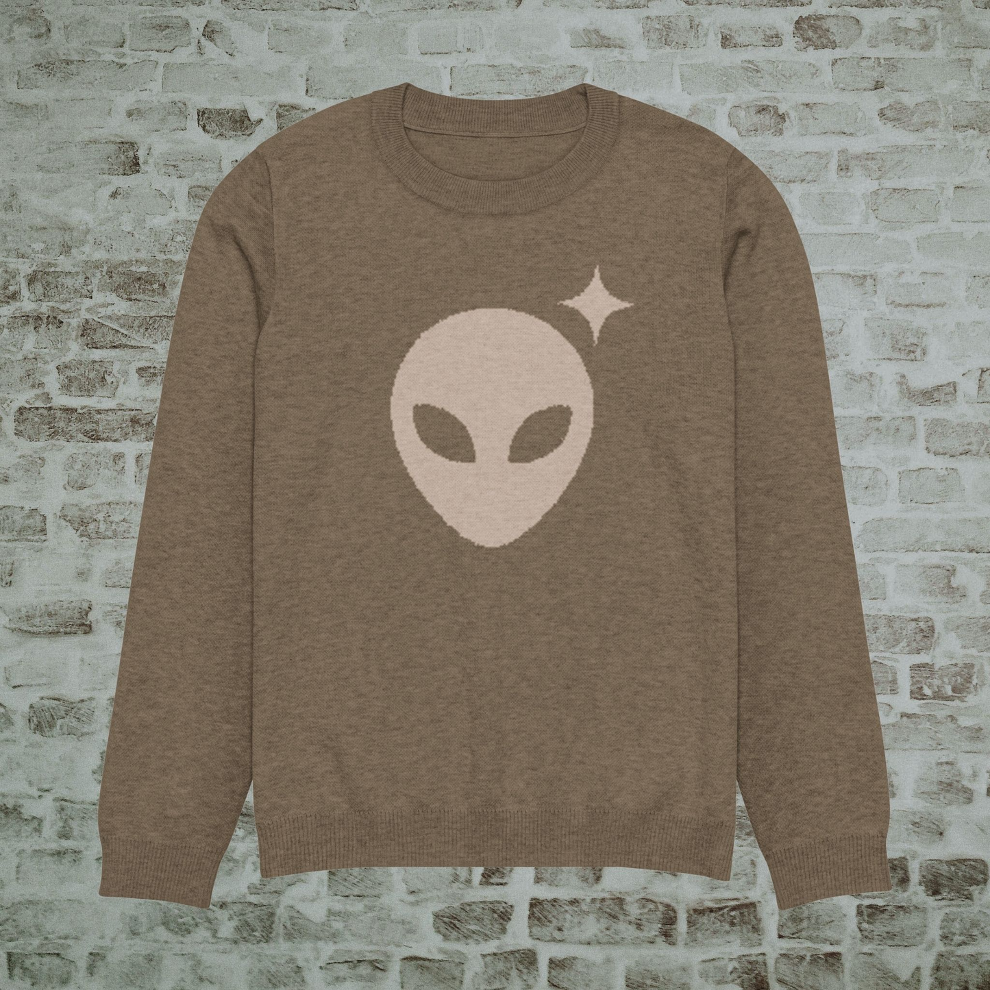 Cocoa Alienhead Crewneck with Taupe Alienhead