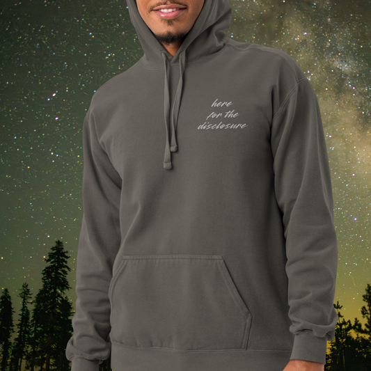 Here for the Disclosure Hoodie