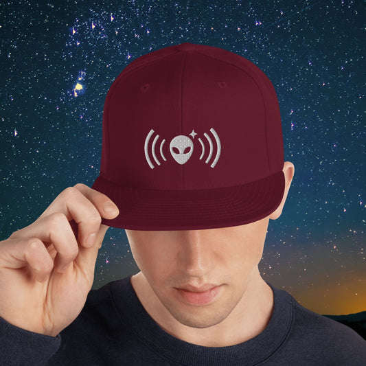 Person wearing a Stellarwear maroon cap with an alien icon against a starry night sky