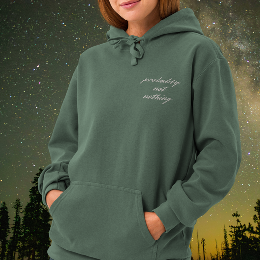 Probably Not Nothing Hoodie
