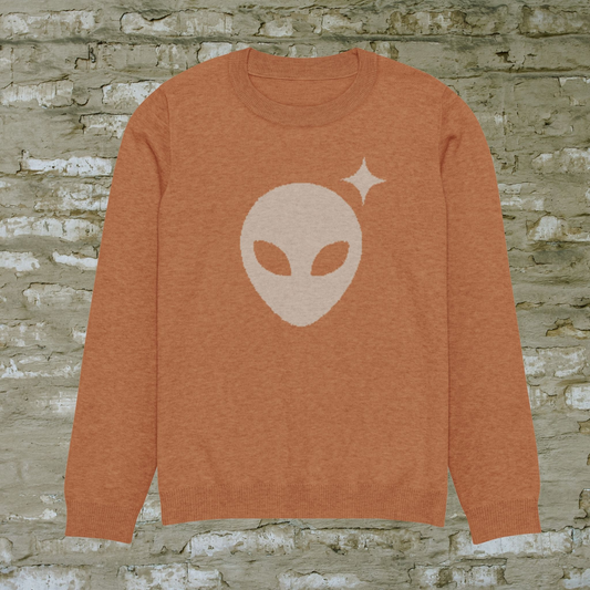 Rust Crewneck Sweater with Taupe Alienhead